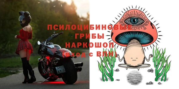 шишки Алзамай